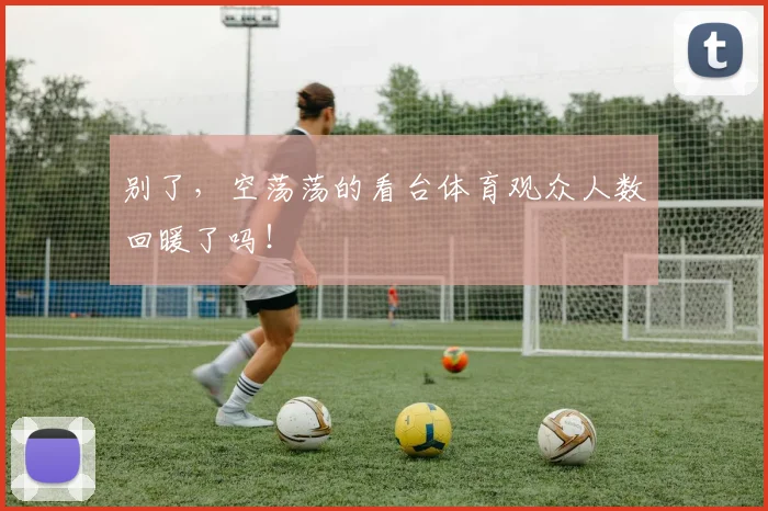 别了,空荡荡的看台体育观众人数回暖了吗!