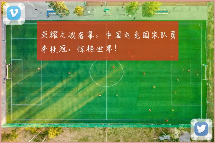 荣耀之战落幕,中国电竞国家队勇夺桂冠,惊艳世界!