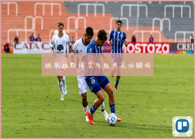 姚明幽默语录与经典采访瞬间
